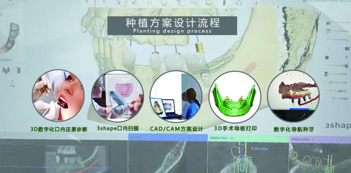 种植方案2.jpg
